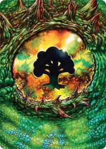 Forest - Art 1 - Tarkir: Dragonstorm - Art Series