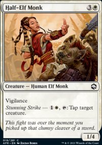 Half-Elf Monk - Dungeons & Dragons: Adventures in the Forgotten Realms