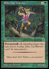 Elite Cat Warrior 2 - Portal