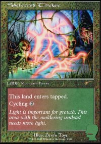 Sheltered Thicket - Secret Lair