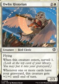 Owlin Historian - Secrets of Strixhaven