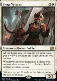 Siege Veteran 1 - The Brothers War