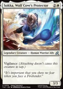 Sokka, Wolf Cove's Protector 2 - Avatar: The Last Airbender Eternal-Legal