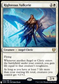 Righteous Valkyrie - The List