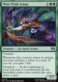 West Wind Avatar - Teenage Mutant Ninja Turtles