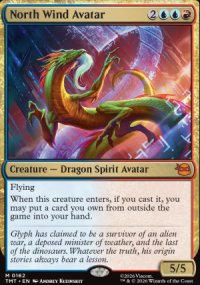 North Wind Avatar - Teenage Mutant Ninja Turtles