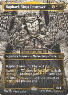 Raphael, Ninja Destroyer - Teenage Mutant Ninja Turtles