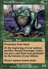 Anurid Scavenger - Torment