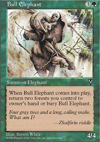 Bull Elephant - Visions