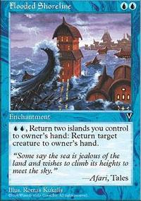 Flooded Shoreline - Visions