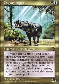 Pygmy Hippo - Visions