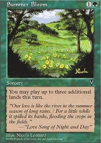 Summer Bloom - Visions